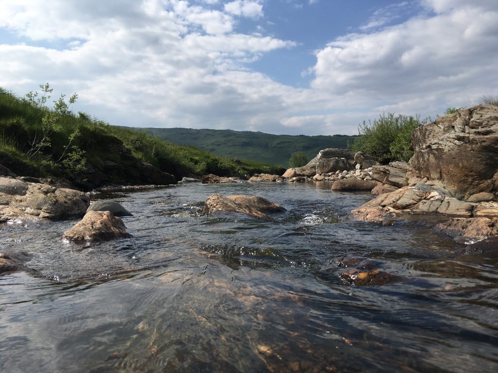 Buillding wellbeing through contact with nature