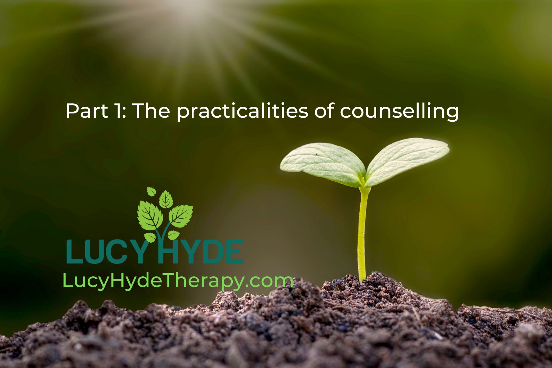 What happens in therapy? – PART 1