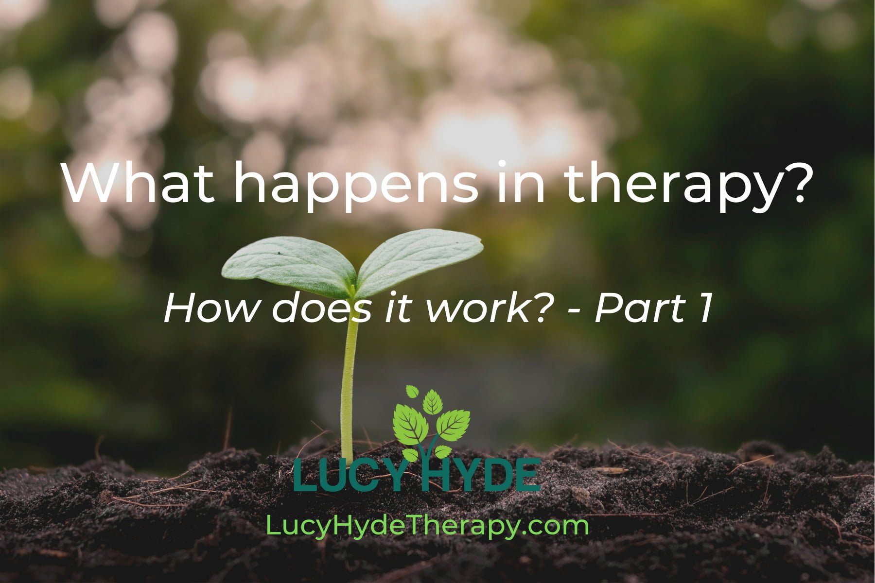 What happens in therapy?