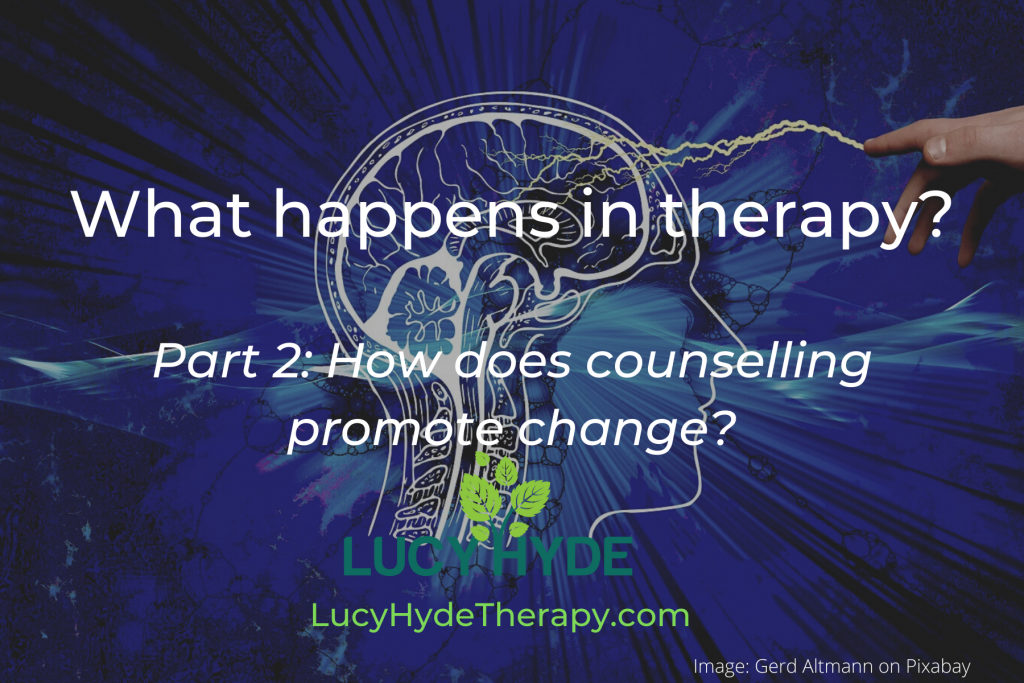 Lucy Hyde how therapy changes the brain