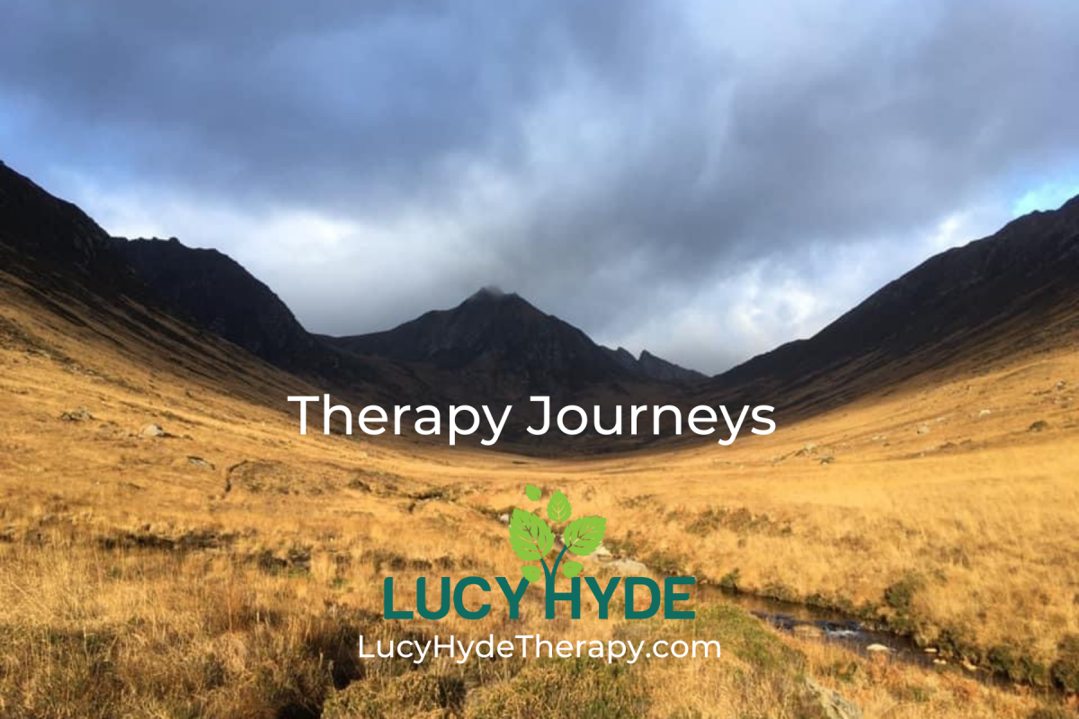 Therapy journeys