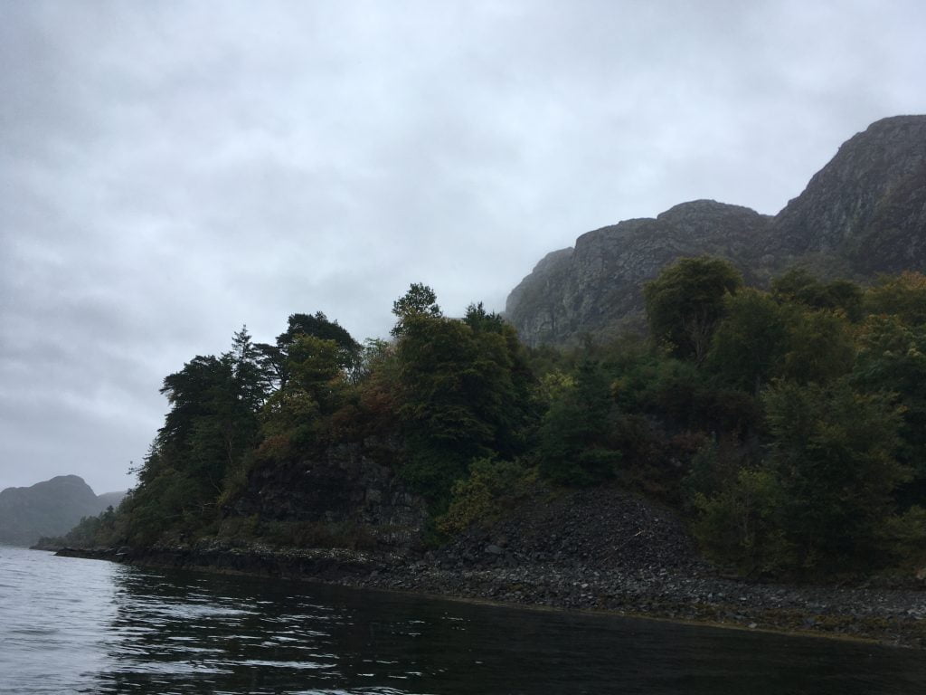 Trees at the edge of water with mountains behind